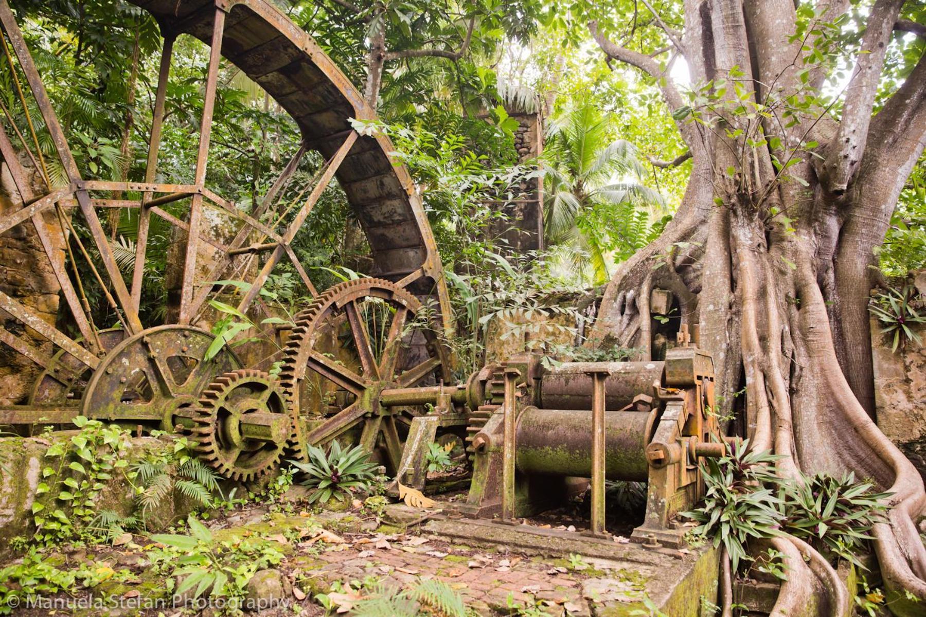 Villa Balenbouche Estate Laborie Exterior foto